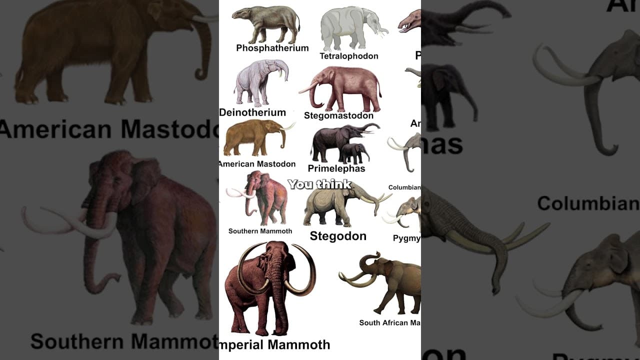 Four Elephant Species Lived in North America